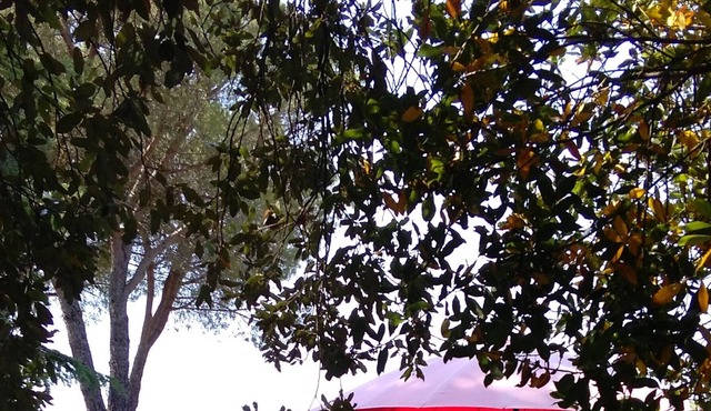 two farmhouses and swimming pool sleeps 6-8