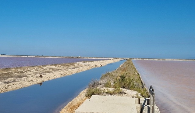Unique stays in the heart of Puglia - Live like a local 3km from the sea