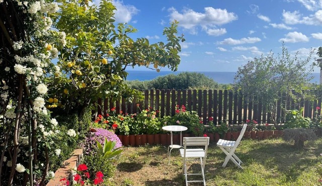 Vacation apartment/apartment for 4 guests with 40m² in Marina di Camerota (248088)