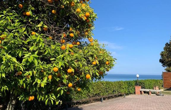 Vigna Sul Mare