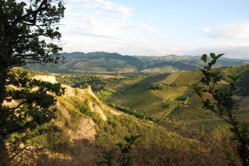 Villa immersa nei campi
