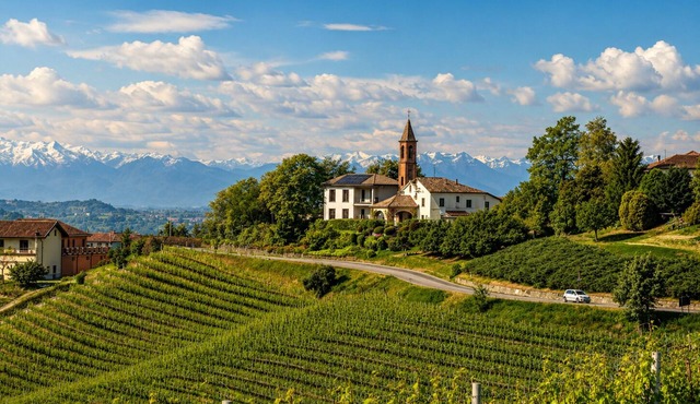 Villa Irene Langhe – School House Ground Floor, View of the Monforte and Novello Vineyards