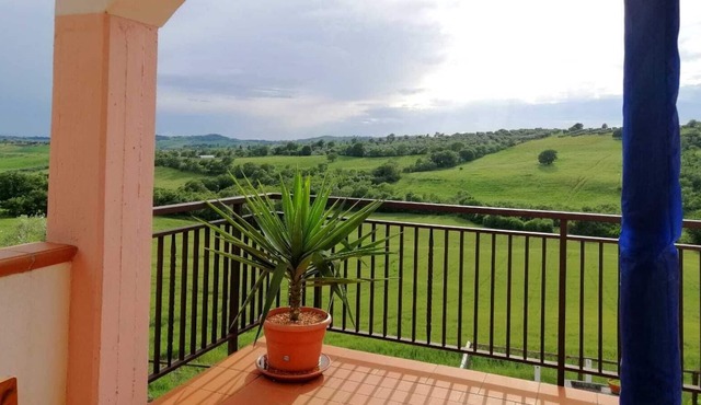 Vrbo Property