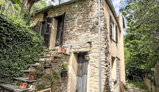 Wonderful private villa for 4 guests with A/C, WIFI, TV, patio and pets allowed