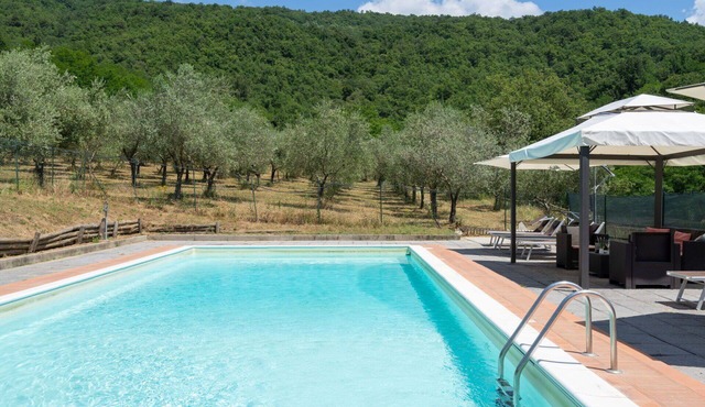 Wonderful private villa for 10 people with private pool, WIFI, TV, patio and pets allowed