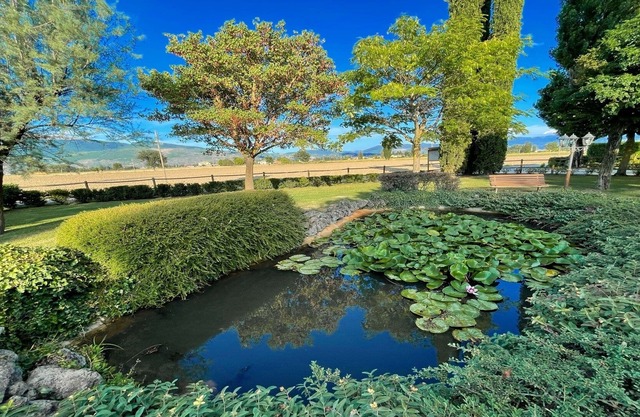 Amazing contemporary Villa with pool - Italian style Spelloissima - Sleeps 11