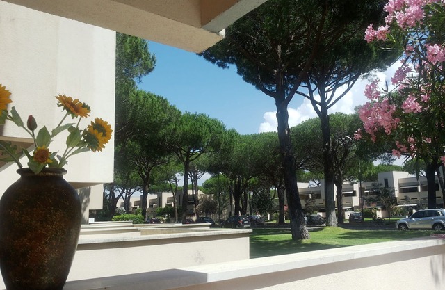 Maremma Pines Sea 