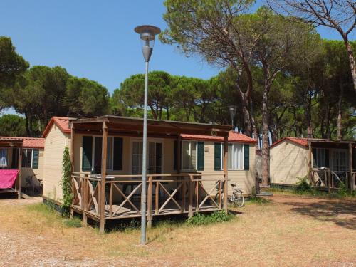 Chalet Pine Forest The Sea 