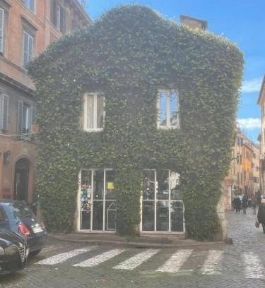 Monti Bed & Breakfast | 28 m² Bed and breakfast ∙ 3 guests