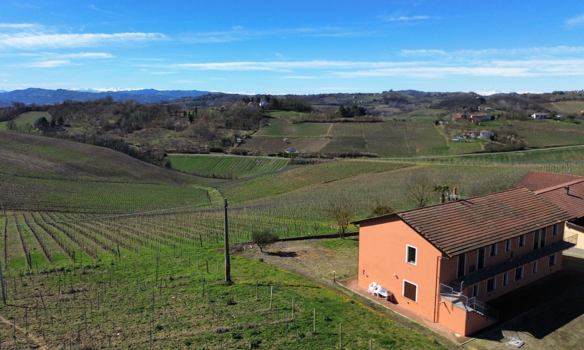 Strevi Other | Cascina Mezzane - farmhouse sorrounded by vineyards