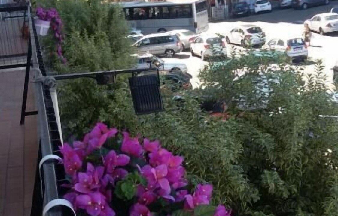 Photo of Others in Mendicino