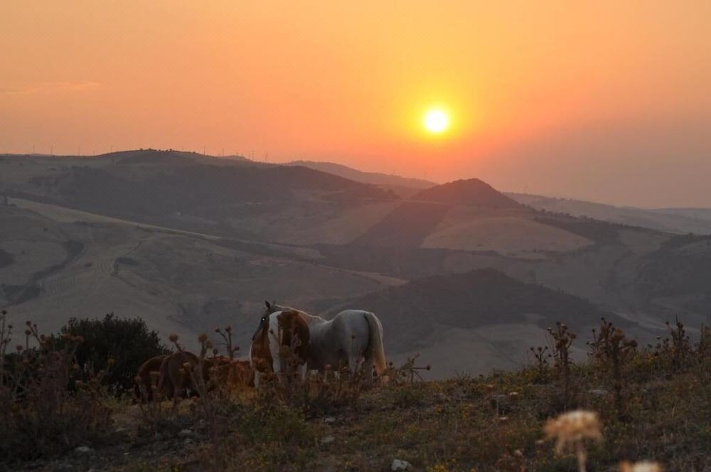 Photo of Outdoor in San Chirico Nuovo