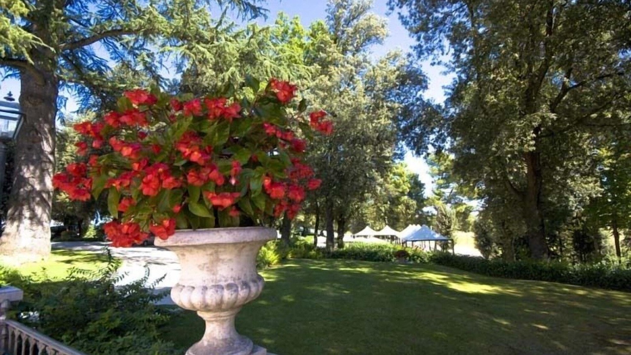 Photo of Others in Appignano