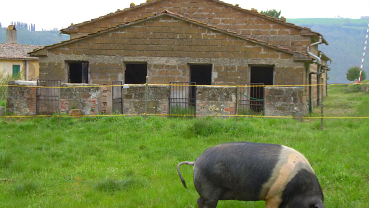 Photo of Buildings in Acquapendente