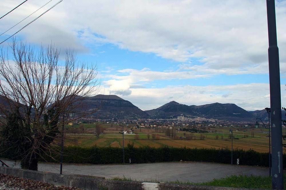 Photo of Outdoor in Monteluiano