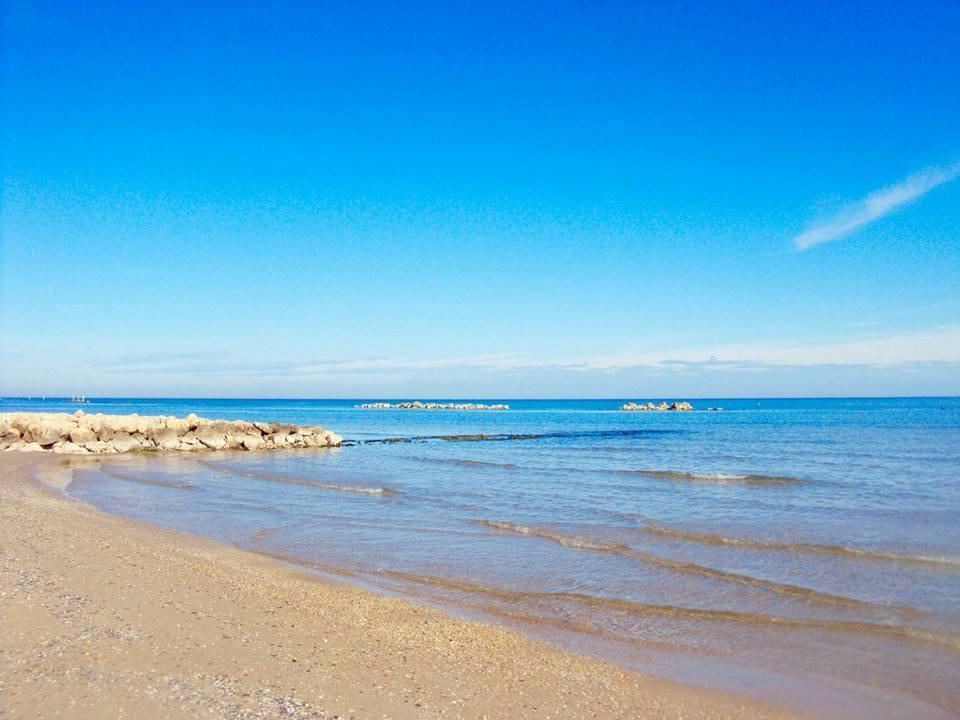 Photo of Outdoor in Cologna Spiaggia
