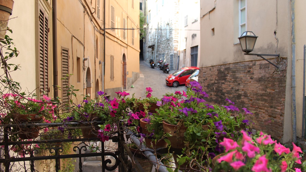 Photo of Others in Old Town