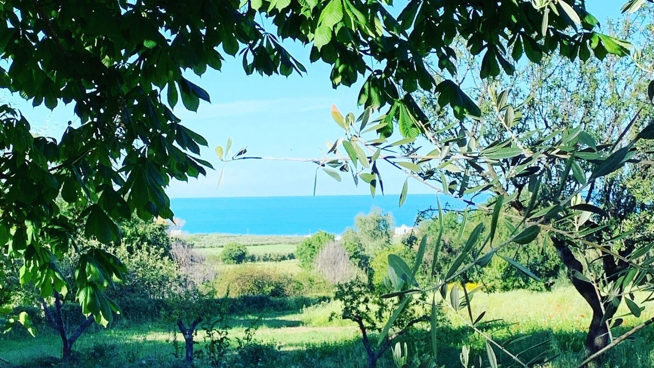 Photo of Outdoor in Vasto