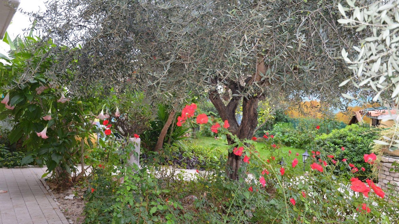 Photo of Others in Collecorvino