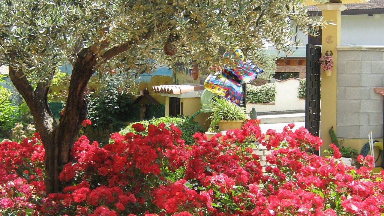 Photo of Others in Collecorvino