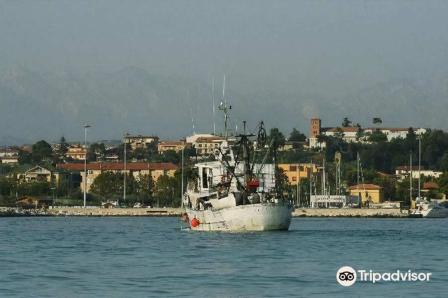 Photo of Others in Giulianova