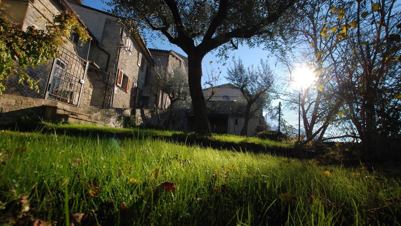 Photo of Buildings in Torre del Colle