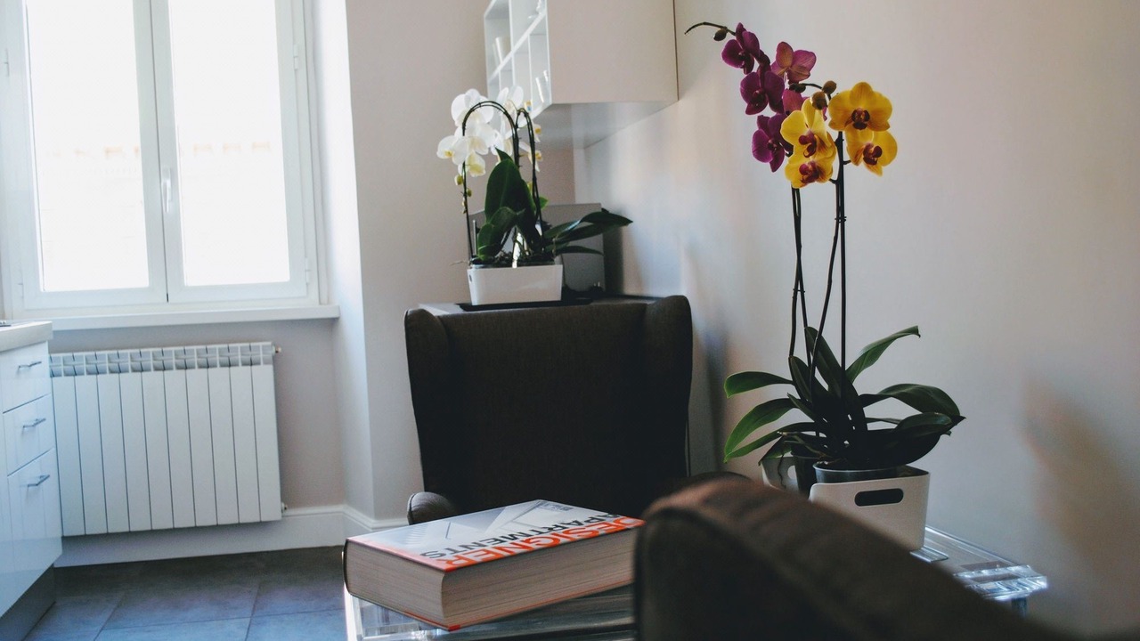 Photo of Livingroom in Monti