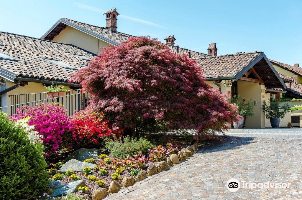 Photo of Buildings in San Francesco al Campo