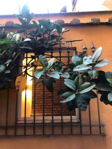 Photo of Others in Rione XI Sant'Angelo
