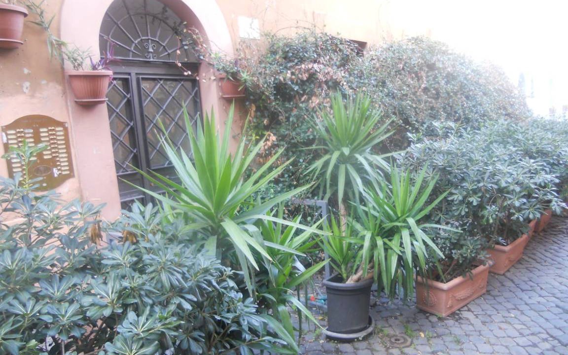 Photo of Others in Trastevere