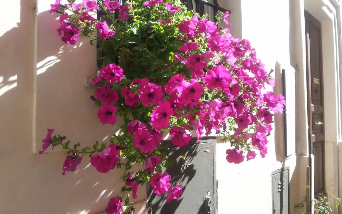 Photo of Others in Trastevere