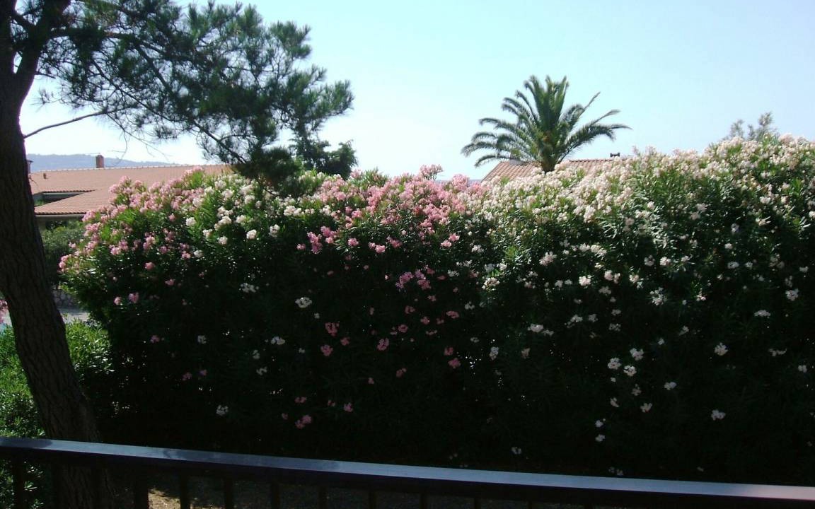 Photo of Others in Giannella