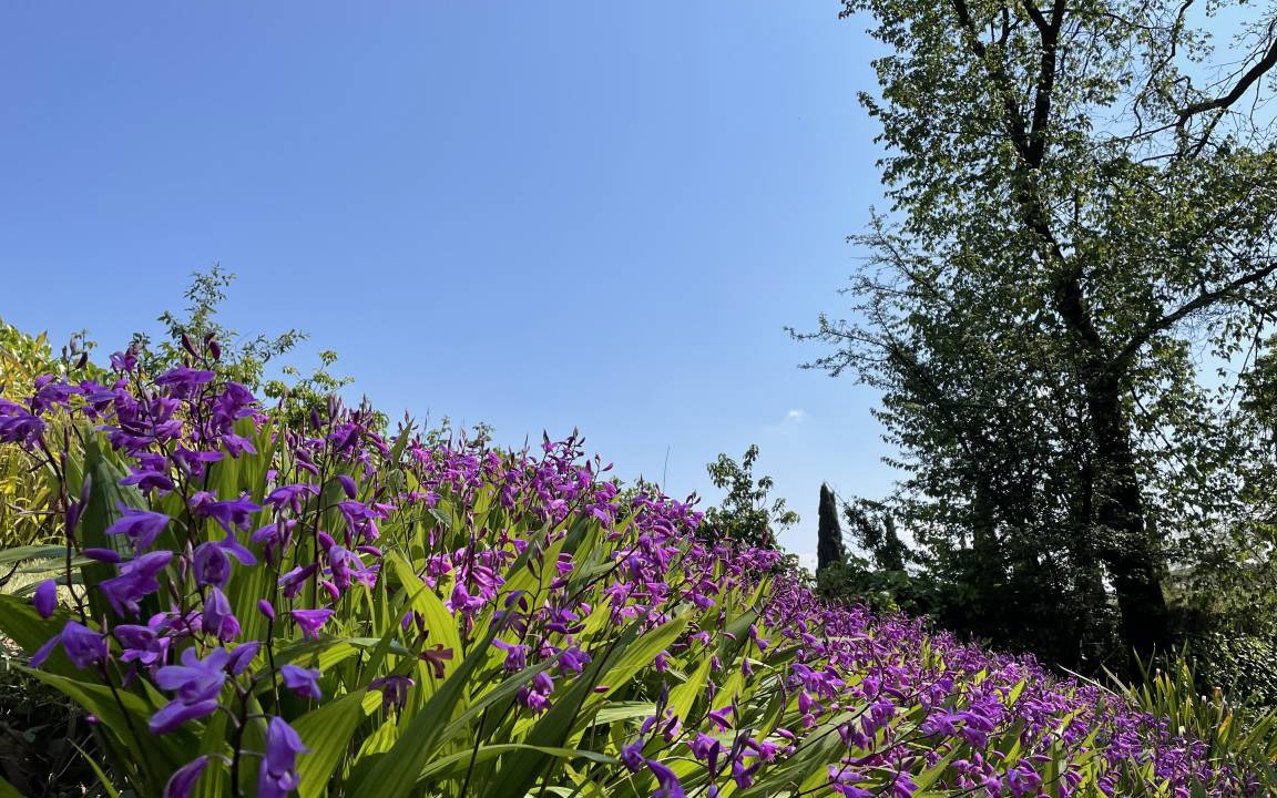 Photo of Outdoor in Trastevere