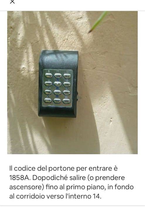 Photo of Others in Trastevere