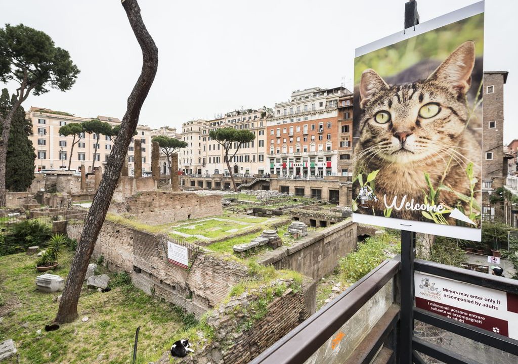 Photo of Others in Roman Ghetto