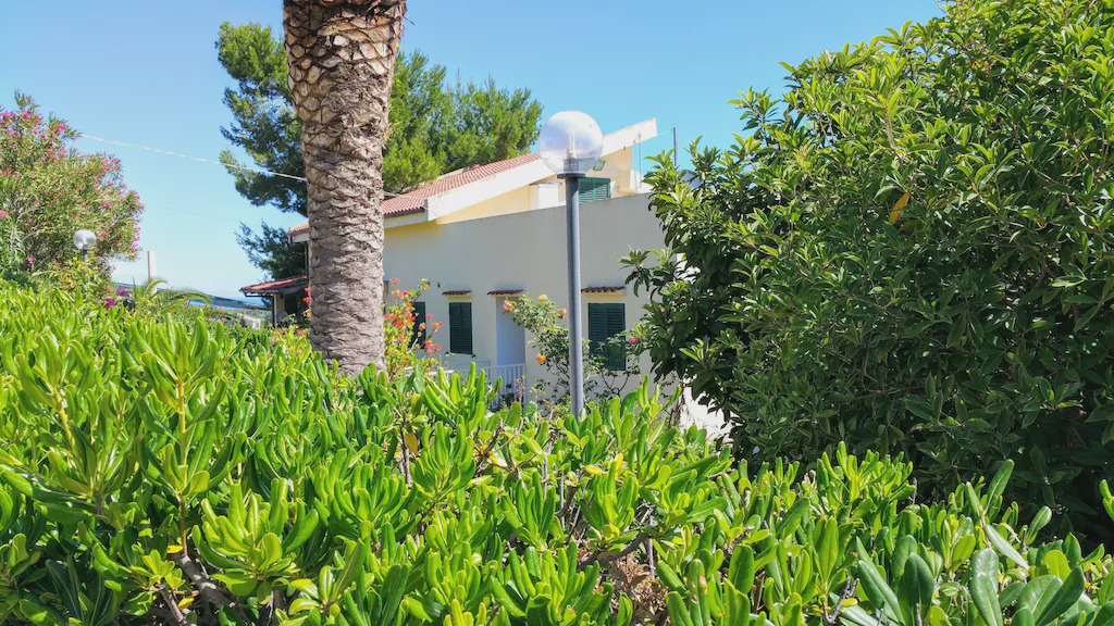 Photo of Buildings in Montincello