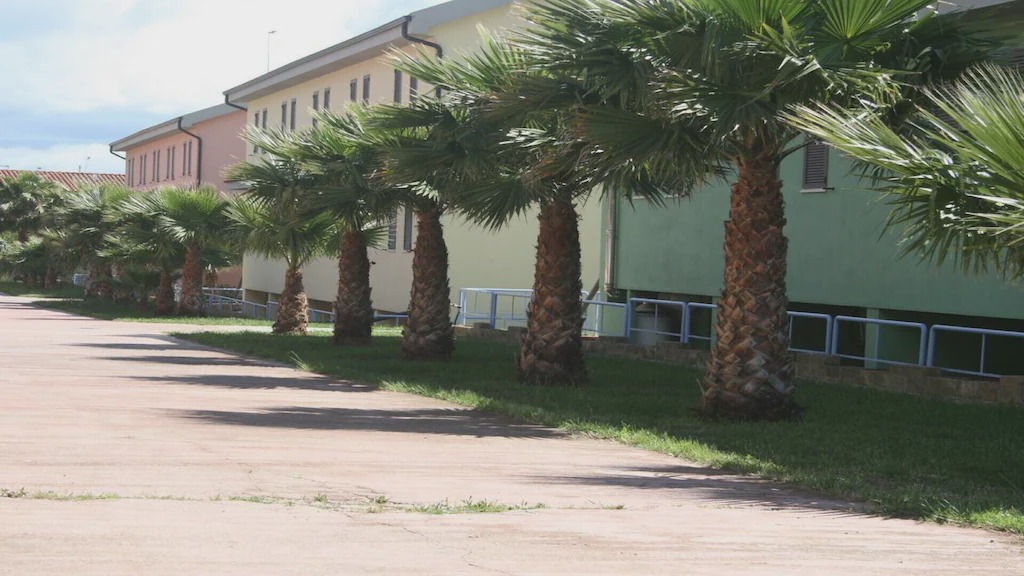 Photo of Others in Borgia