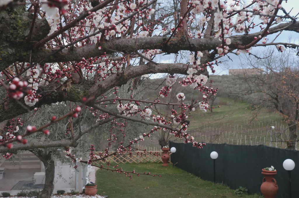 Photo of Others in Pietrauta