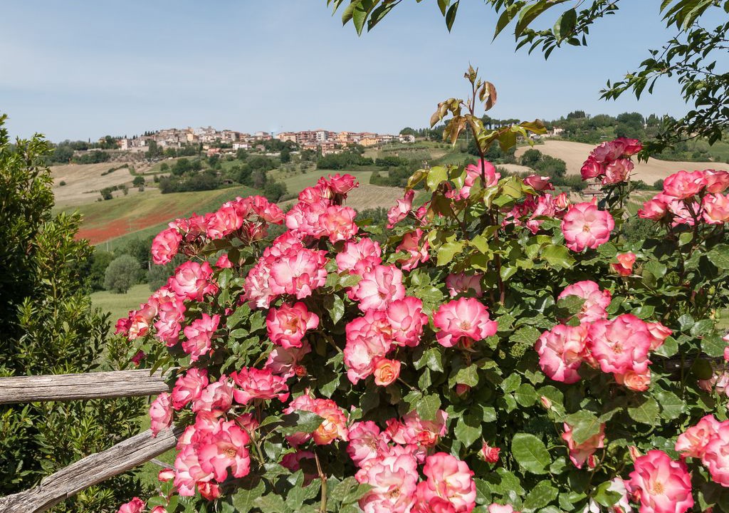 Photo of Outdoor in Otricoli