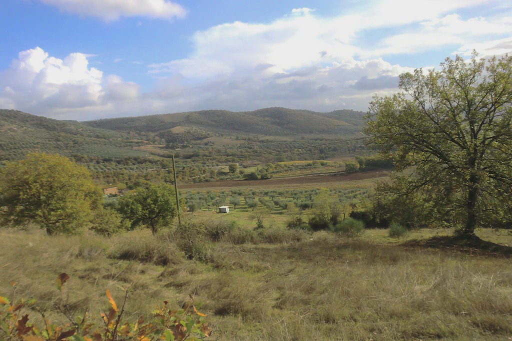 Photo of Others in Piegaro