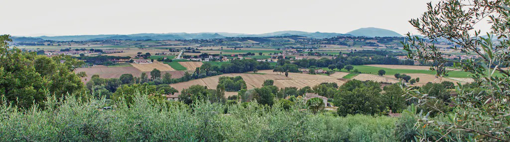 Photo of Others in Lidarno