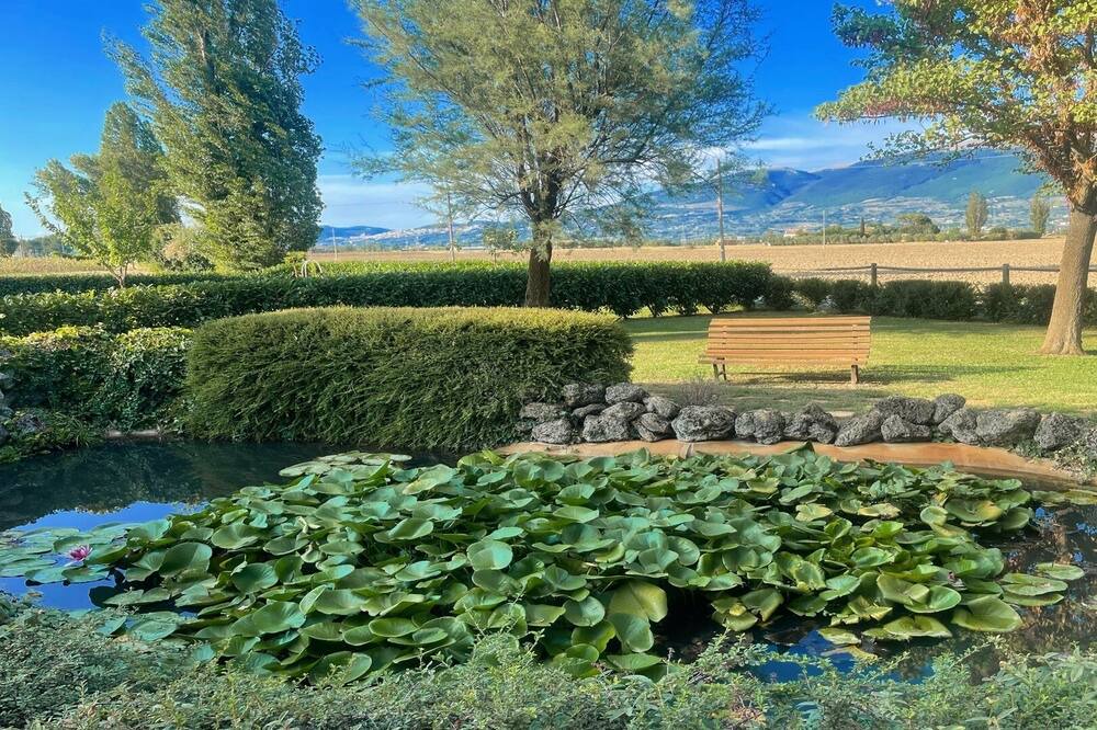 Photo of Outdoor in Limiti