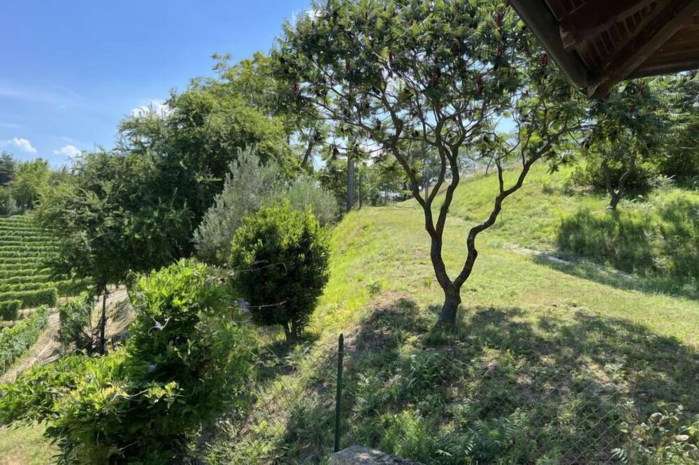 Photo of Outdoor in Trezzo Tinella
