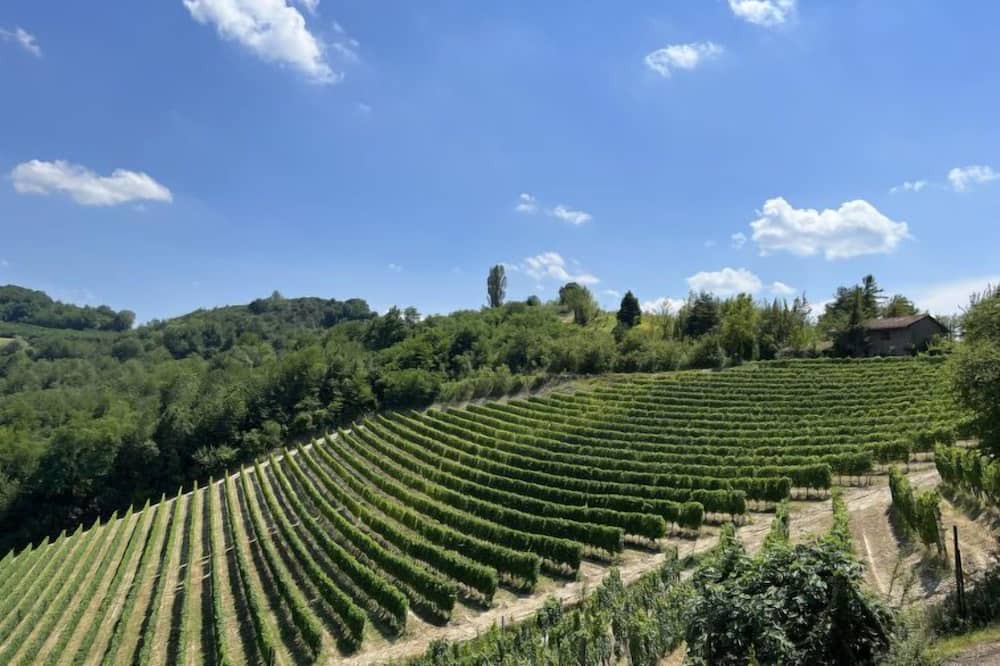 Photo of Others in Trezzo Tinella