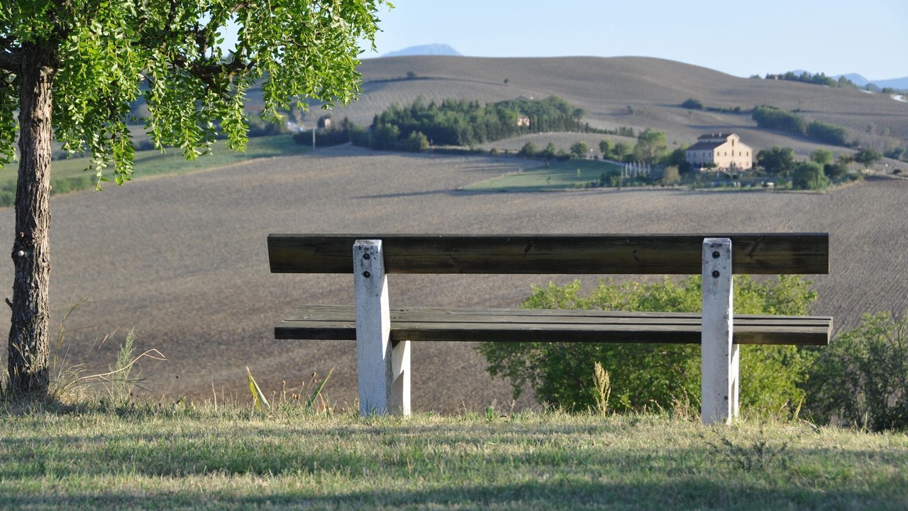 Photo of Outdoor in Belvedere Ostrense