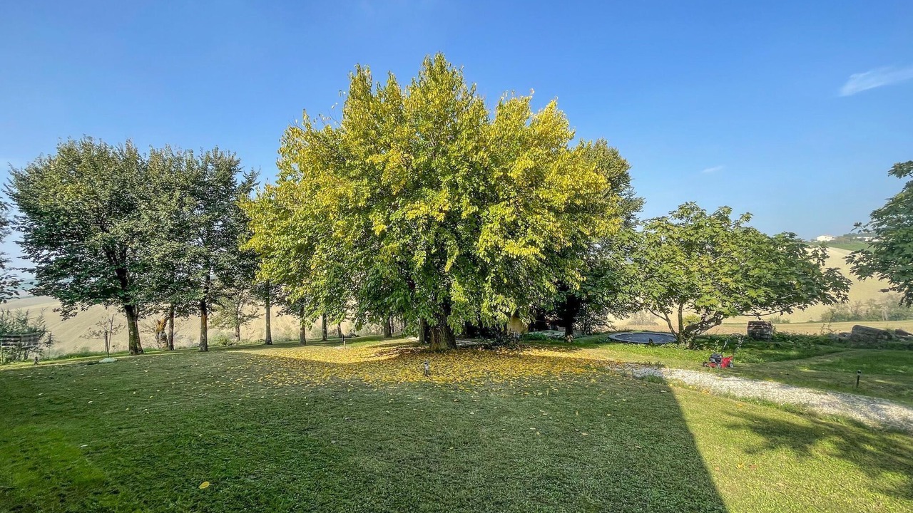Photo of Outdoor in Belvedere Ostrense