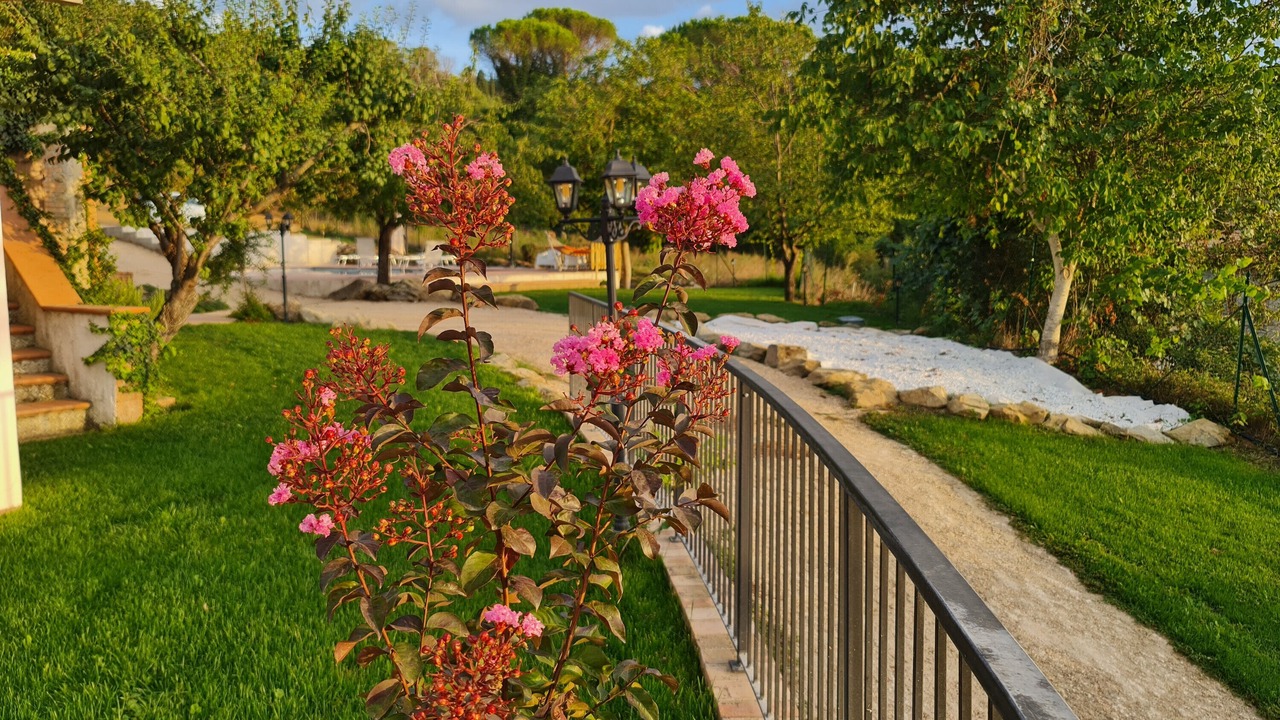 Photo of Outdoor in Magione