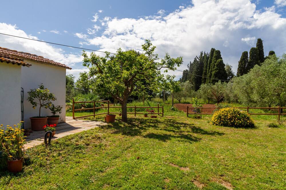 Photo of Outdoor in Orbetello