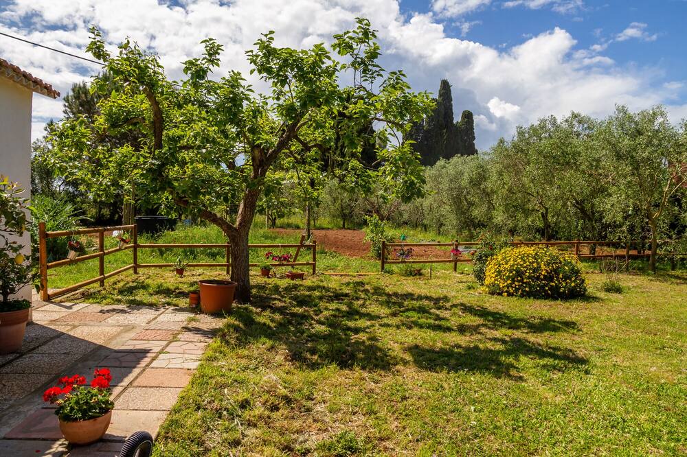 Photo of Outdoor in Orbetello