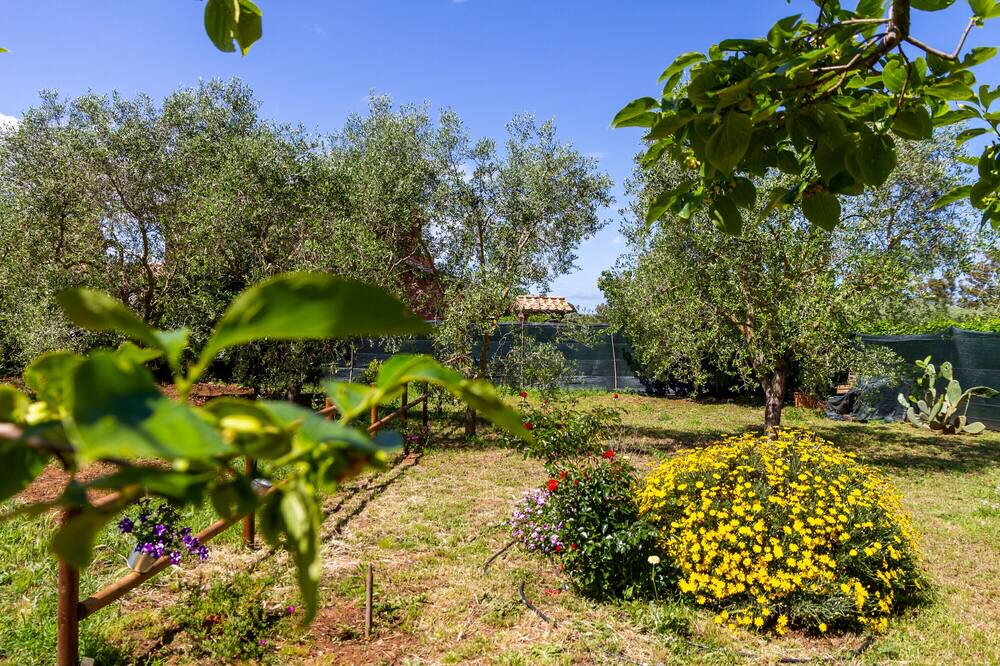 Photo of Outdoor in Orbetello